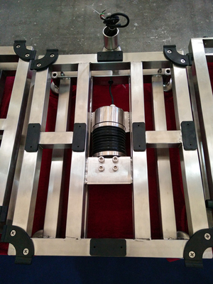 Waterproof High Shelf Precision Bench Weighing Scale